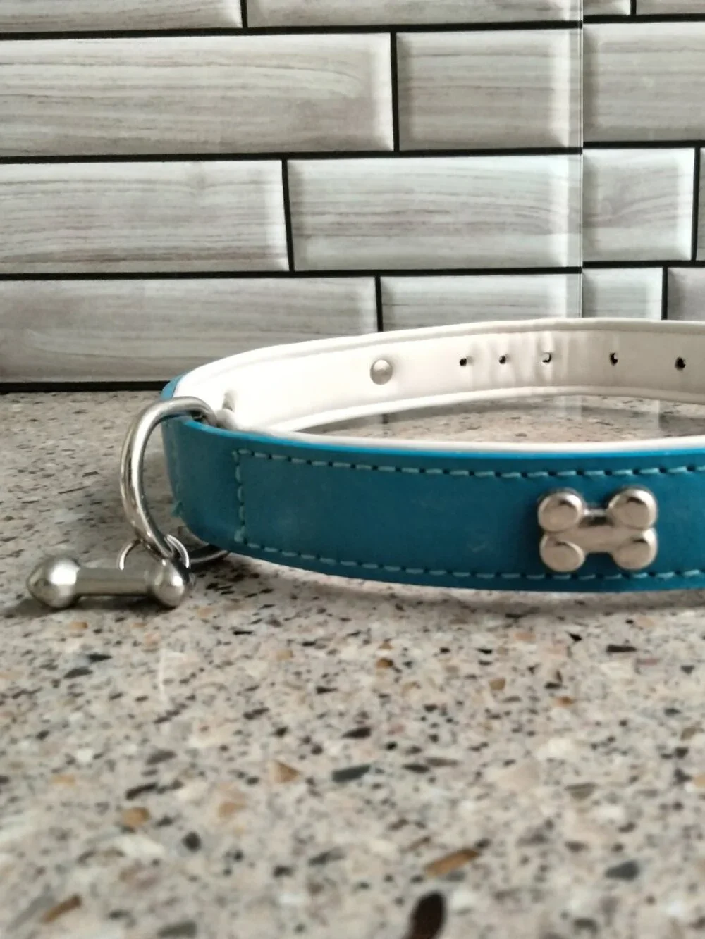Blue White & Chrome Leather Dog Collar 24
